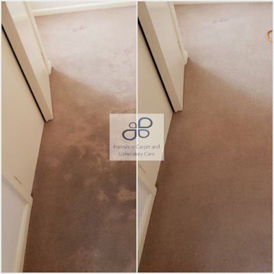 Professional Carpet Cleaning Southampton