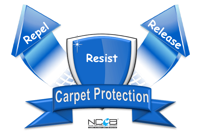 carpet cleaning and protection Winchester