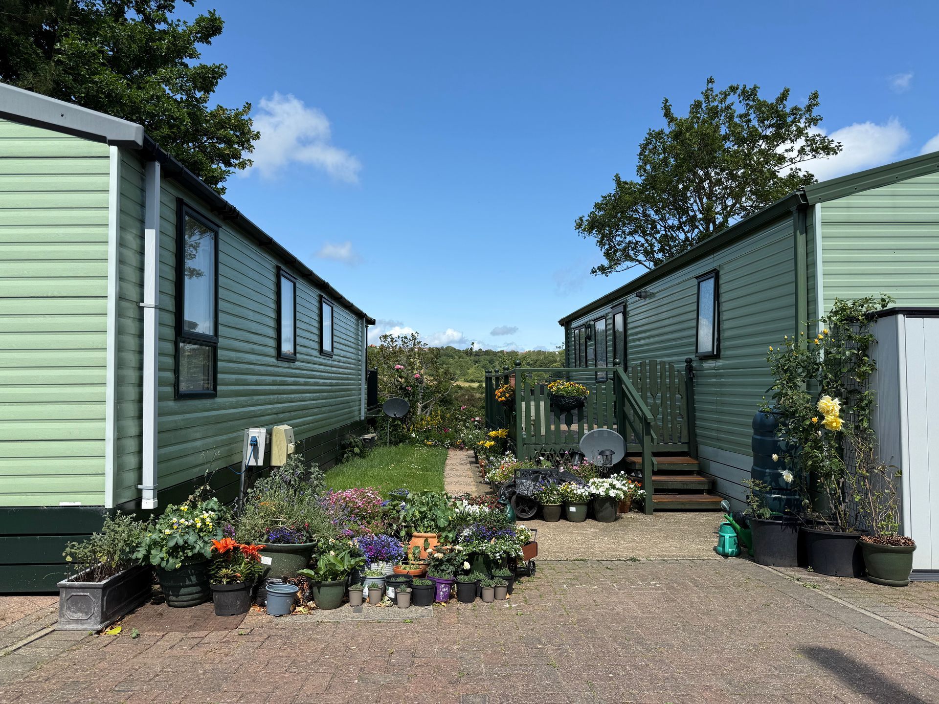 Two green mobile homes with potted plants, a blue sky in between.