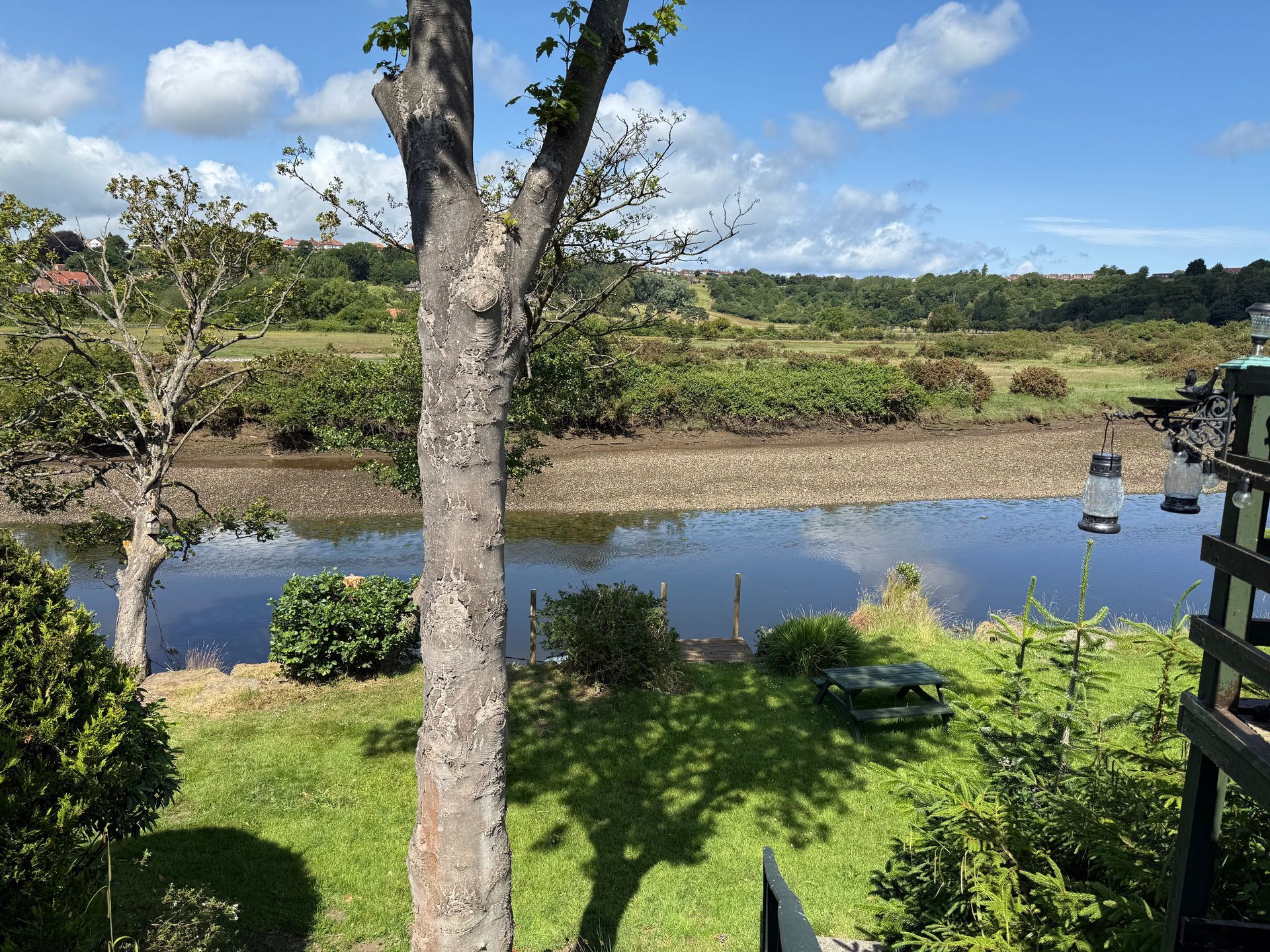 A tranquil river scene with a tree in the foreground, green grass, and blue sky.
