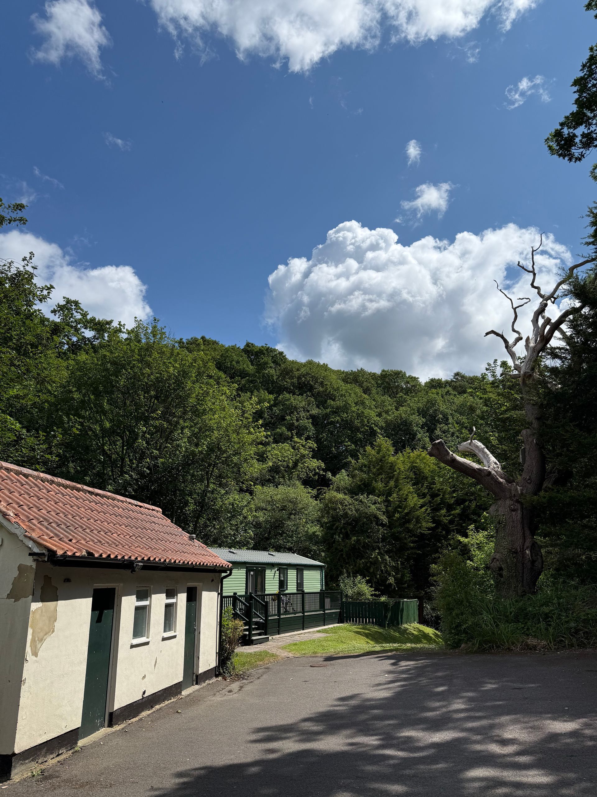 A small building with a red roof and green doors, lush trees, and a cloudy blue sky.