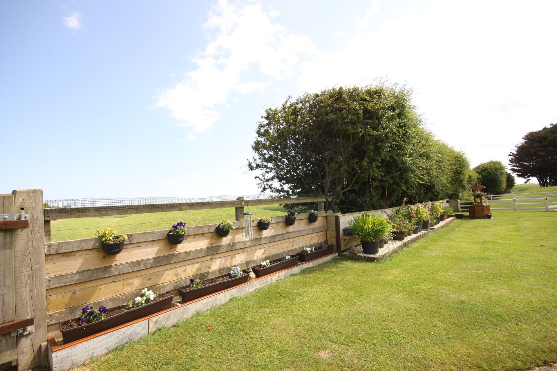 Lawn with a wooden fence, planters, and trees on a sunny day, with a blue sky.