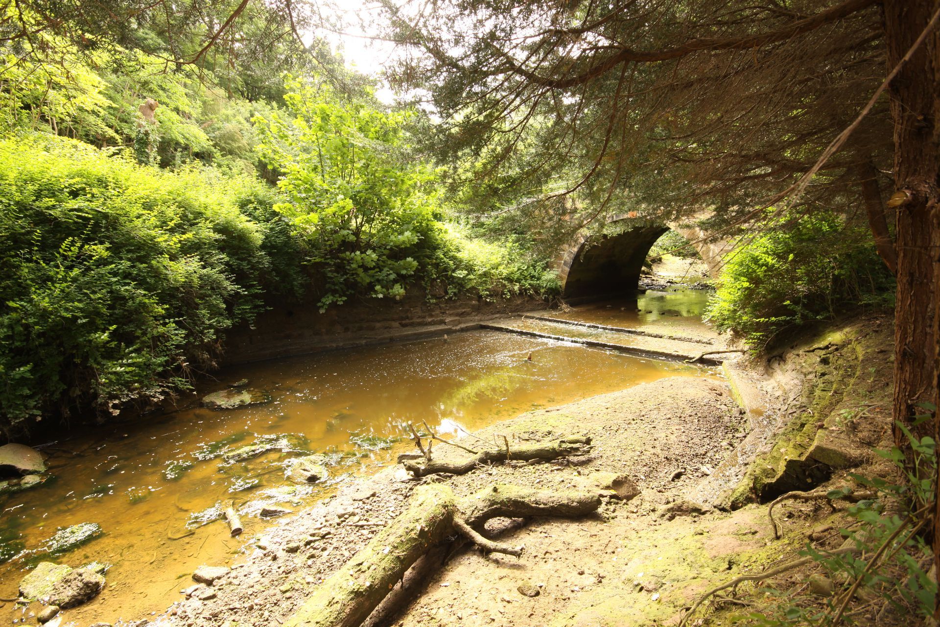 Dried creek bed under an arched bridge, surrounded by green foliage and trees.