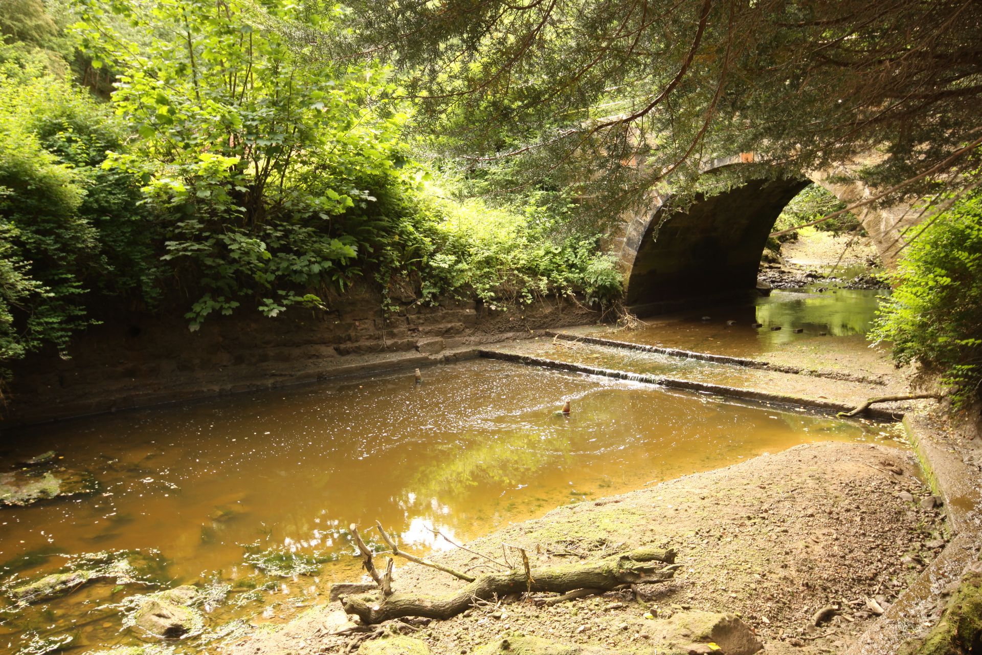 Bridge over a muddy, shallow river with green foliage and sunlight filtering through the trees.