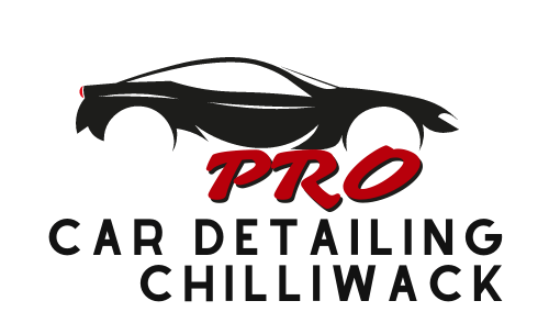 pro car detailing Chilliwack logo