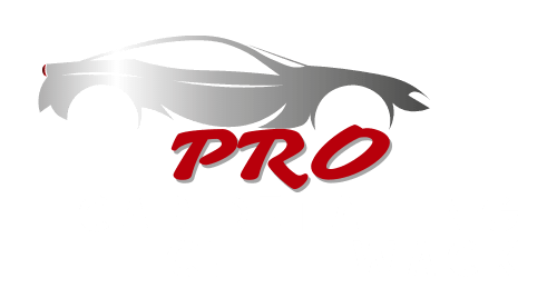 pro car detailing Chilliwack logo
