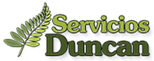 SERVICIOS DUNCAN LOGO