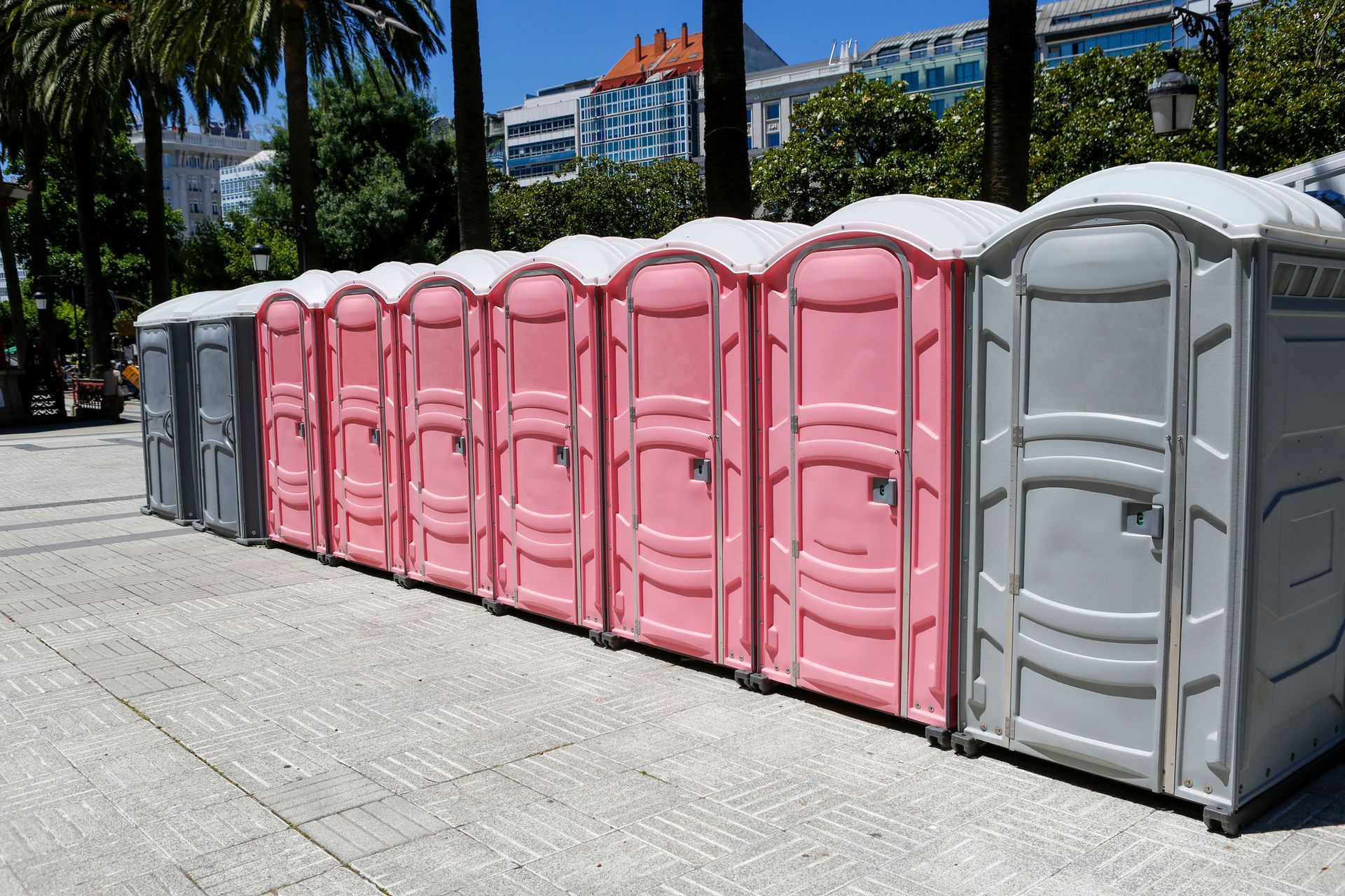 Row of pink and gray portable toilets lined along a sunny city park walkway with palm trees nearby.