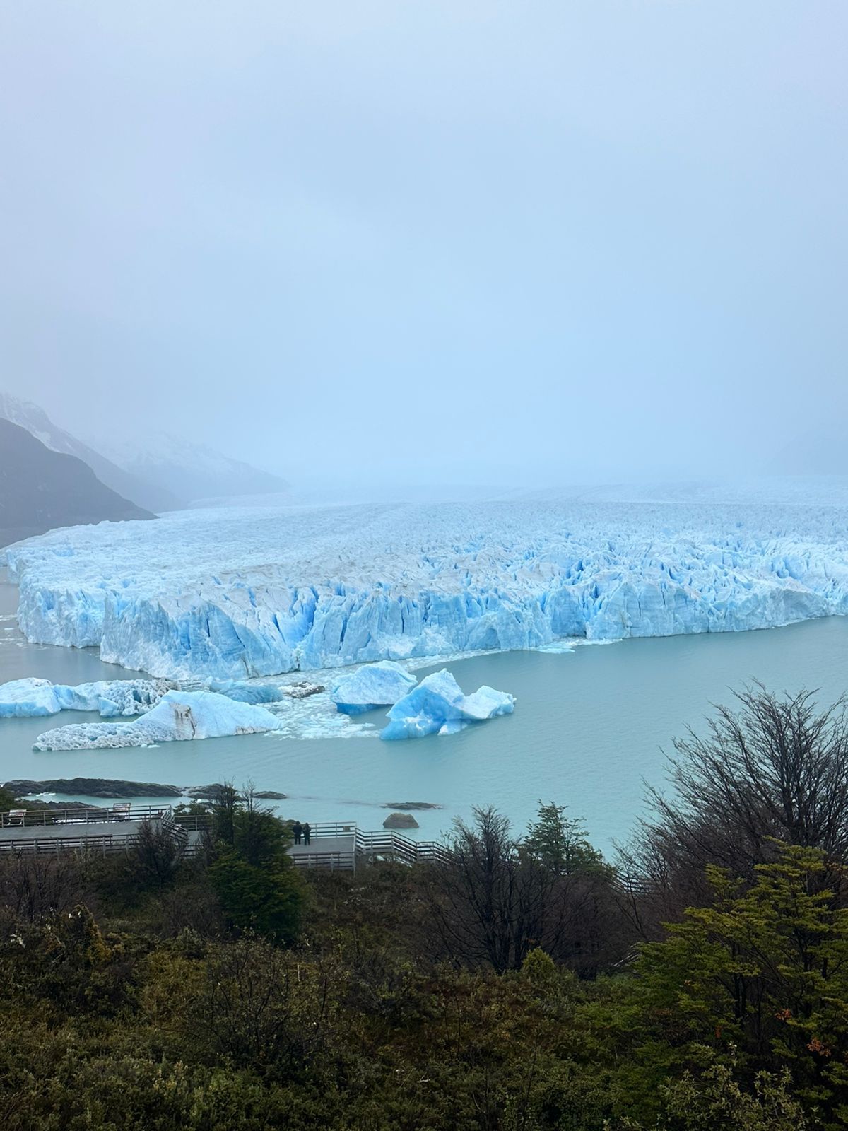Un gran iceberg flota en la superficie de un lago rodeado de árboles.