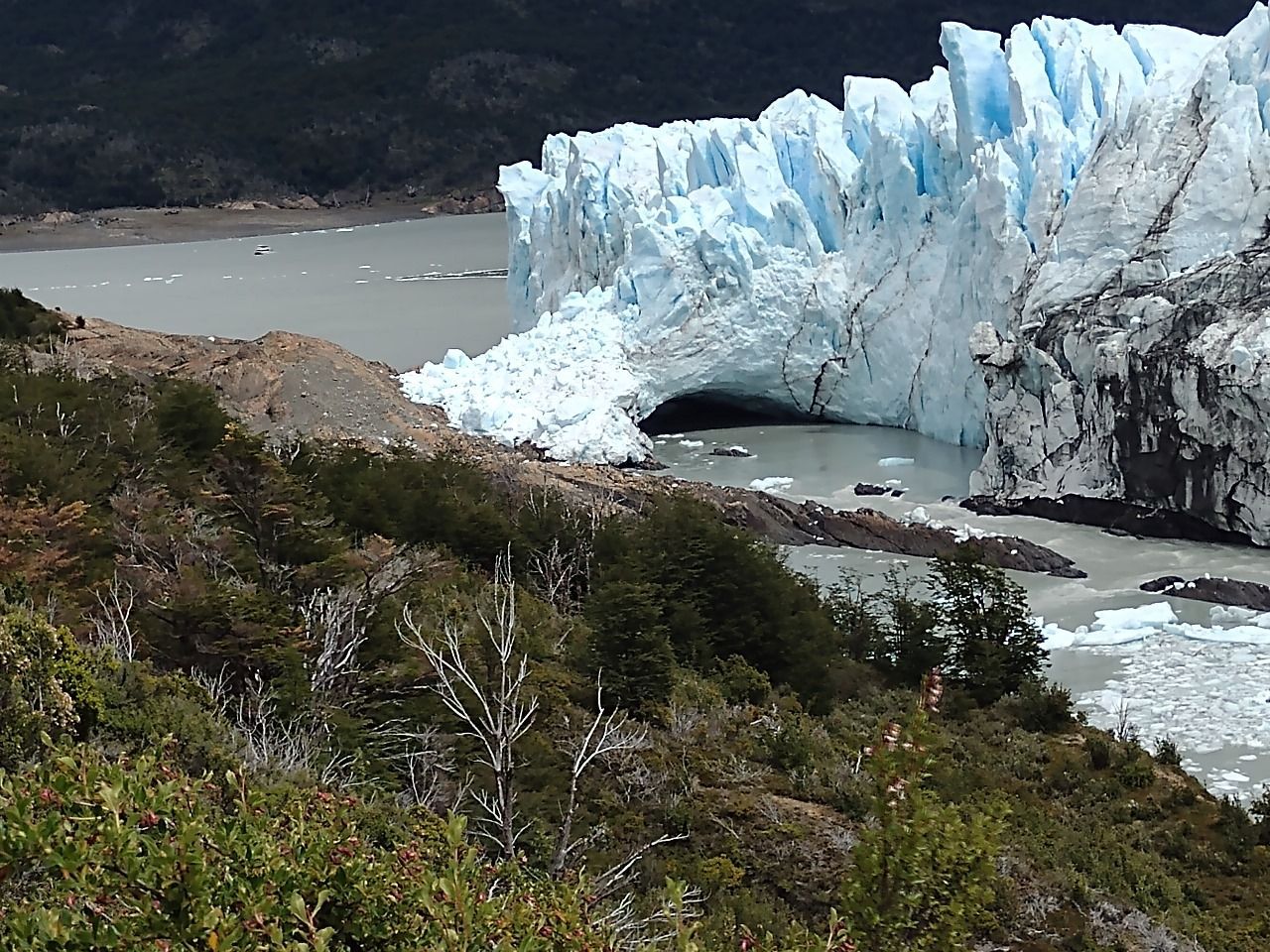 Un gran glaciar está rodeado de árboles y agua.
