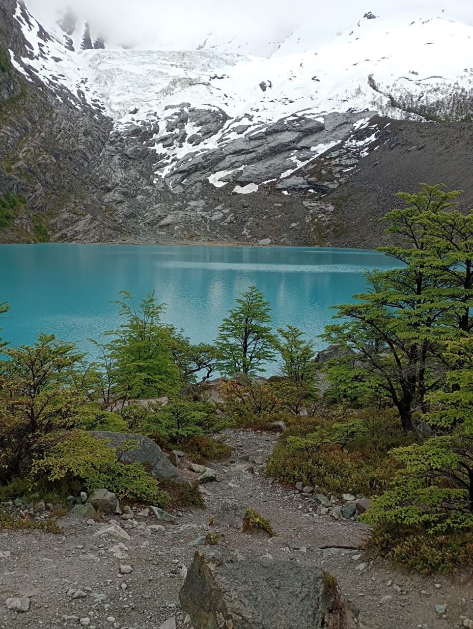 Un lago azul rodeado de árboles y rocas con una montaña nevada al fondo.