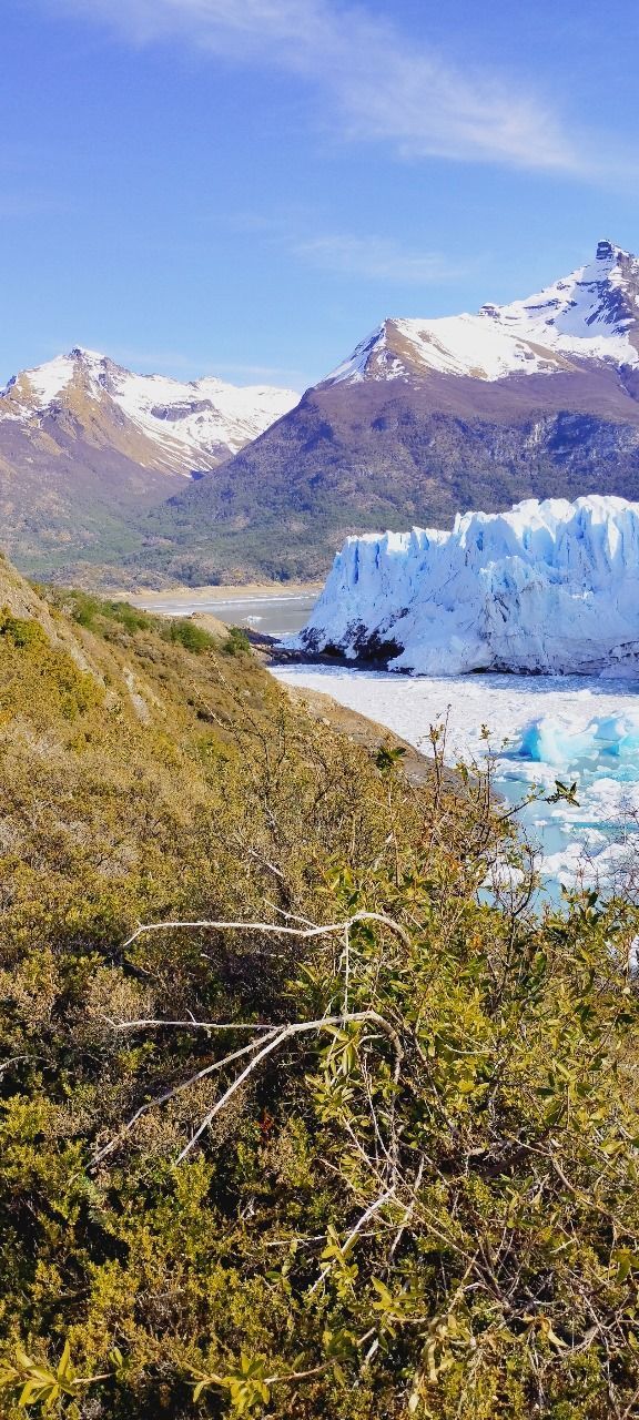 Un gran glaciar está rodeado de montañas y árboles.