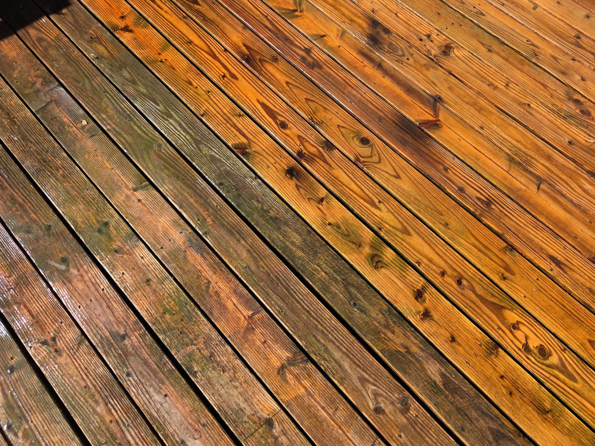 Paint supplies on drop cloth: paint roller in tray, paint brushes, near wall with painted trim.