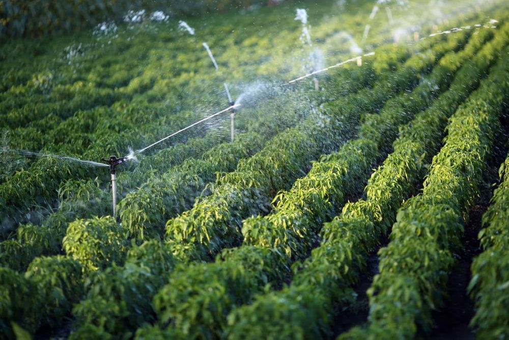 In-Operation Irrigation System — Wastewater System Parts in Nowra, NSW