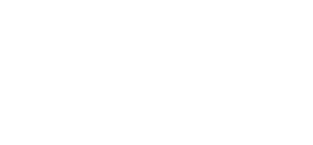 Ray J's College Of Hair logo