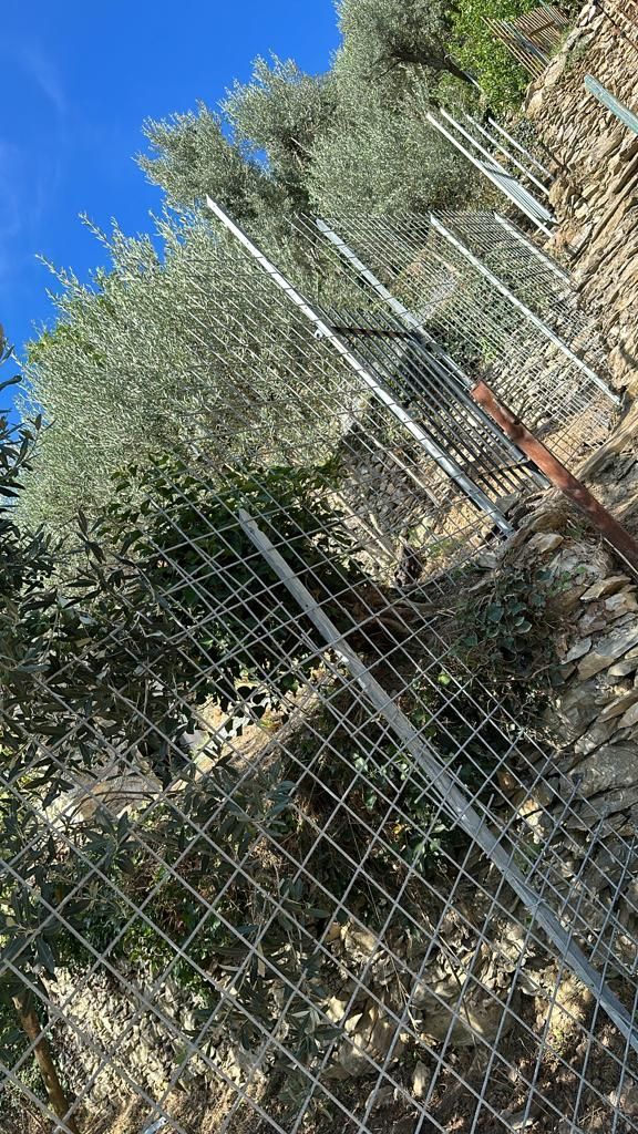 recinzioni terreni Aulla Dema Green