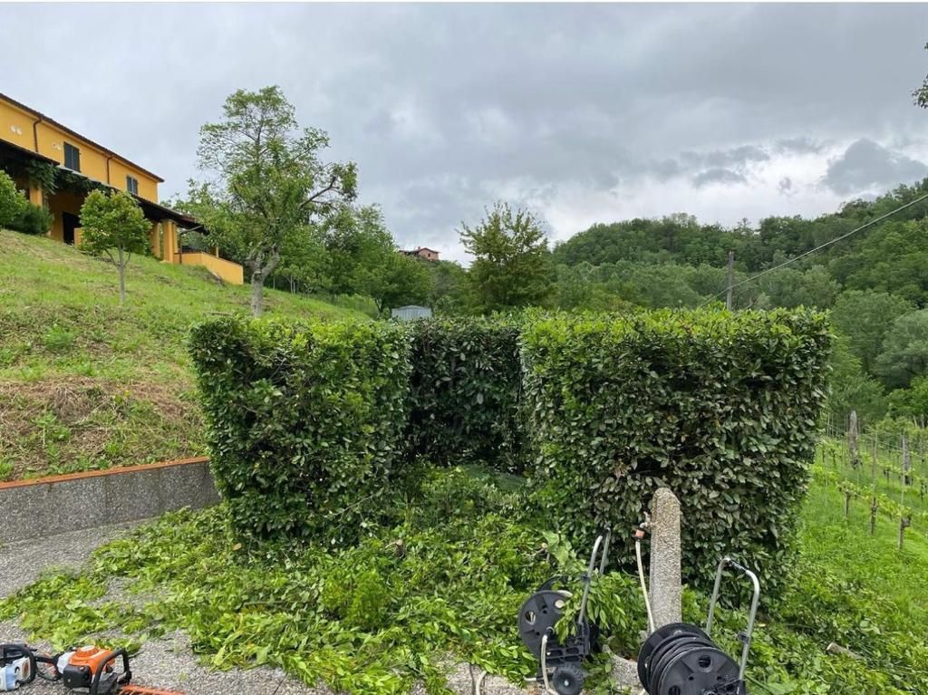 taglio siepi Aulla Dema Green