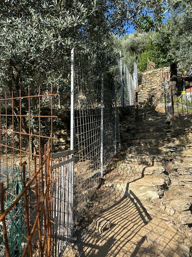 creazione recinzioni Massa Carrara