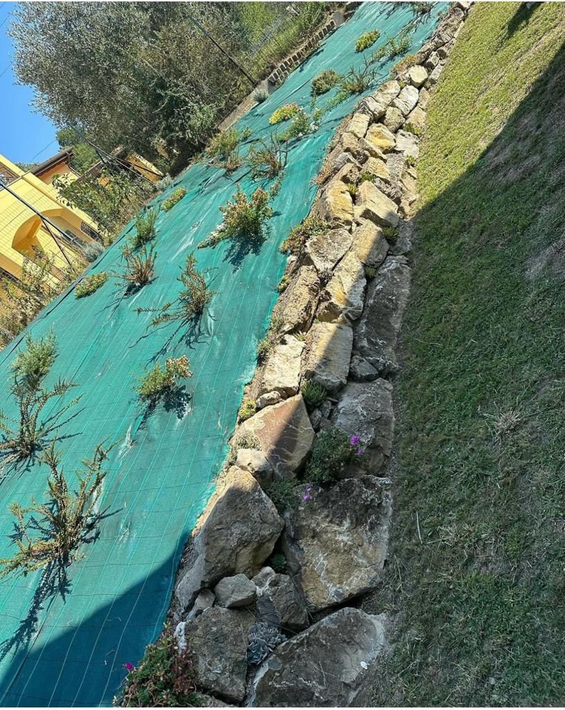 creazione aiuole Aulla Dema Green