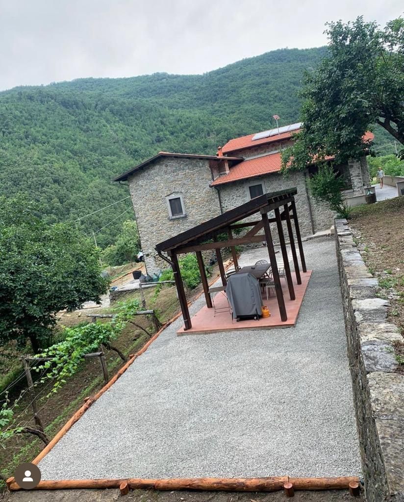 potature viti Aulla Dema Green