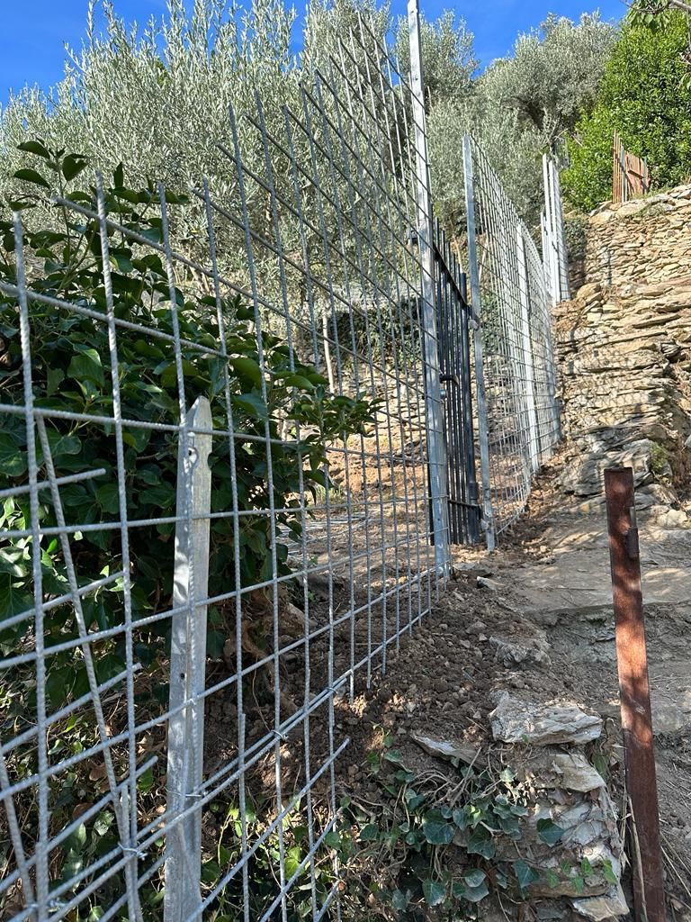 recinzioni campi Massa Carrara