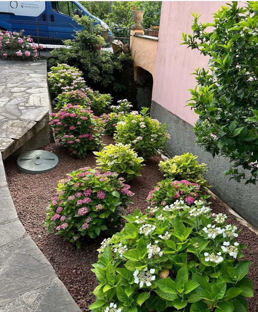 progettazione giardini Aulla Dema Green