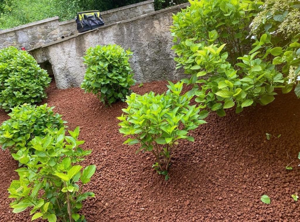 creazione giardini Massa Carrara Dema Green