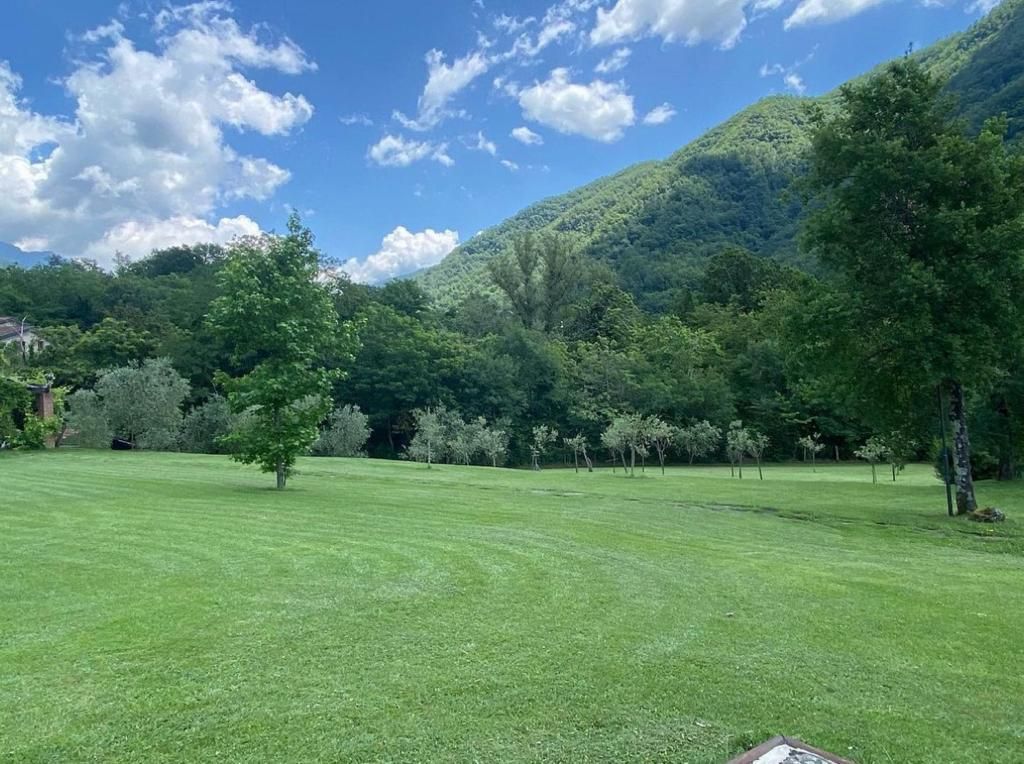 potature erba Aulla Dema Green