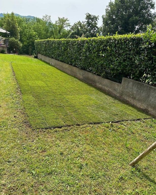 ripristino manto erboso Aulla Dema Green