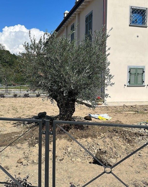 progettista area verde Aulla Dema Green