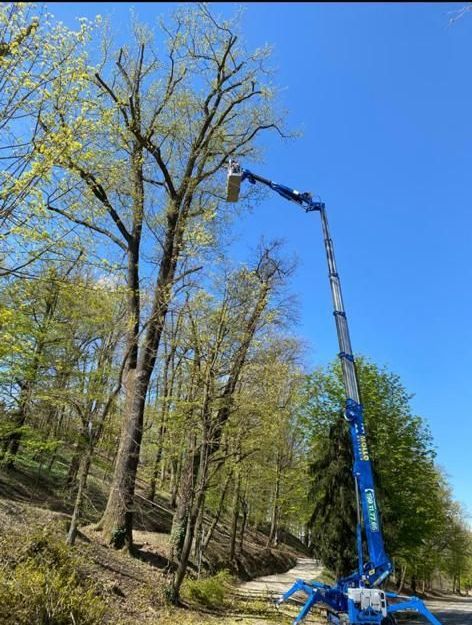 potature piante alto fusto Aulla Dema Green