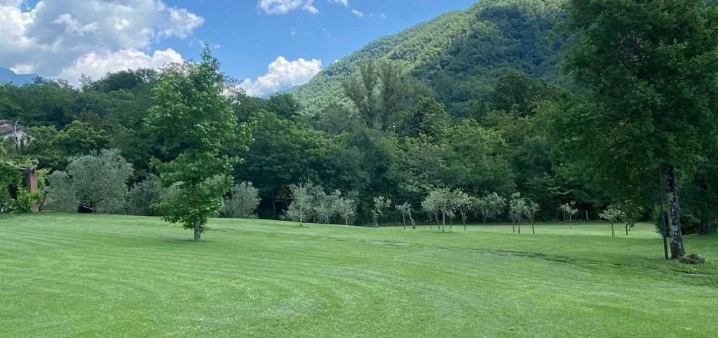 manutenzione giardini Aulla Dema Green