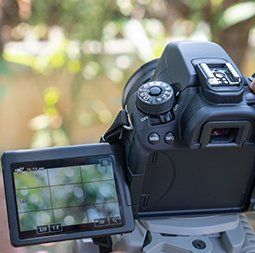 International Business Opportunities