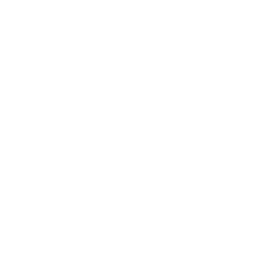 Logo Icon