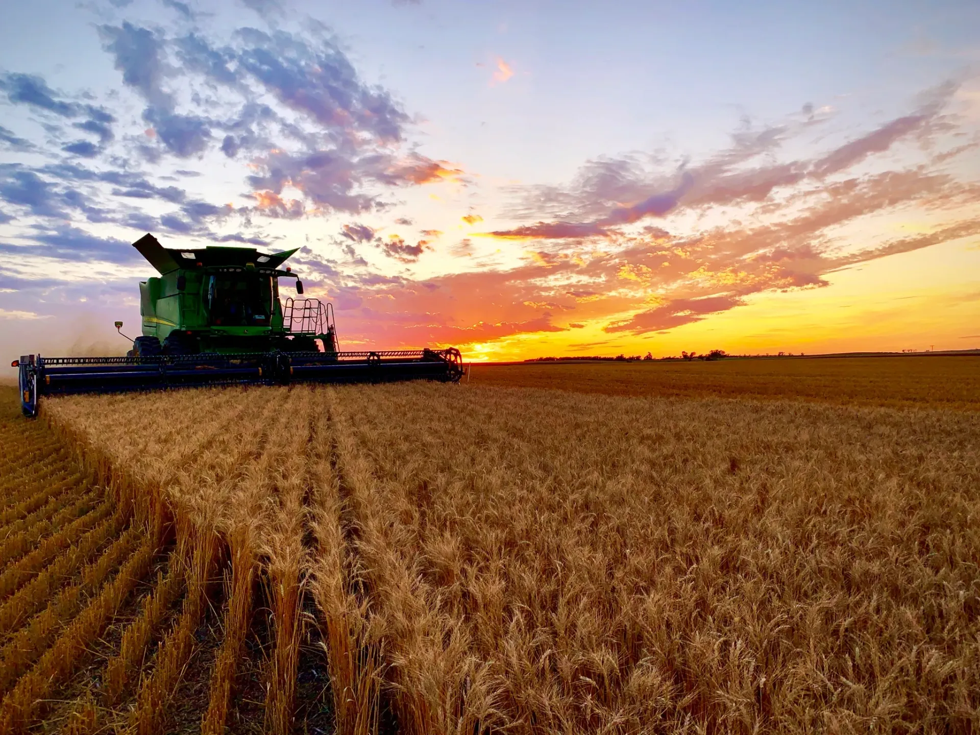 Jessica (Stomvoll) Fitterer's winning photo of the 2019 Gooseneck Harvest Photo Contest