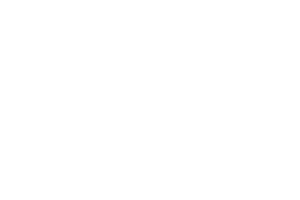 Doyle Construction