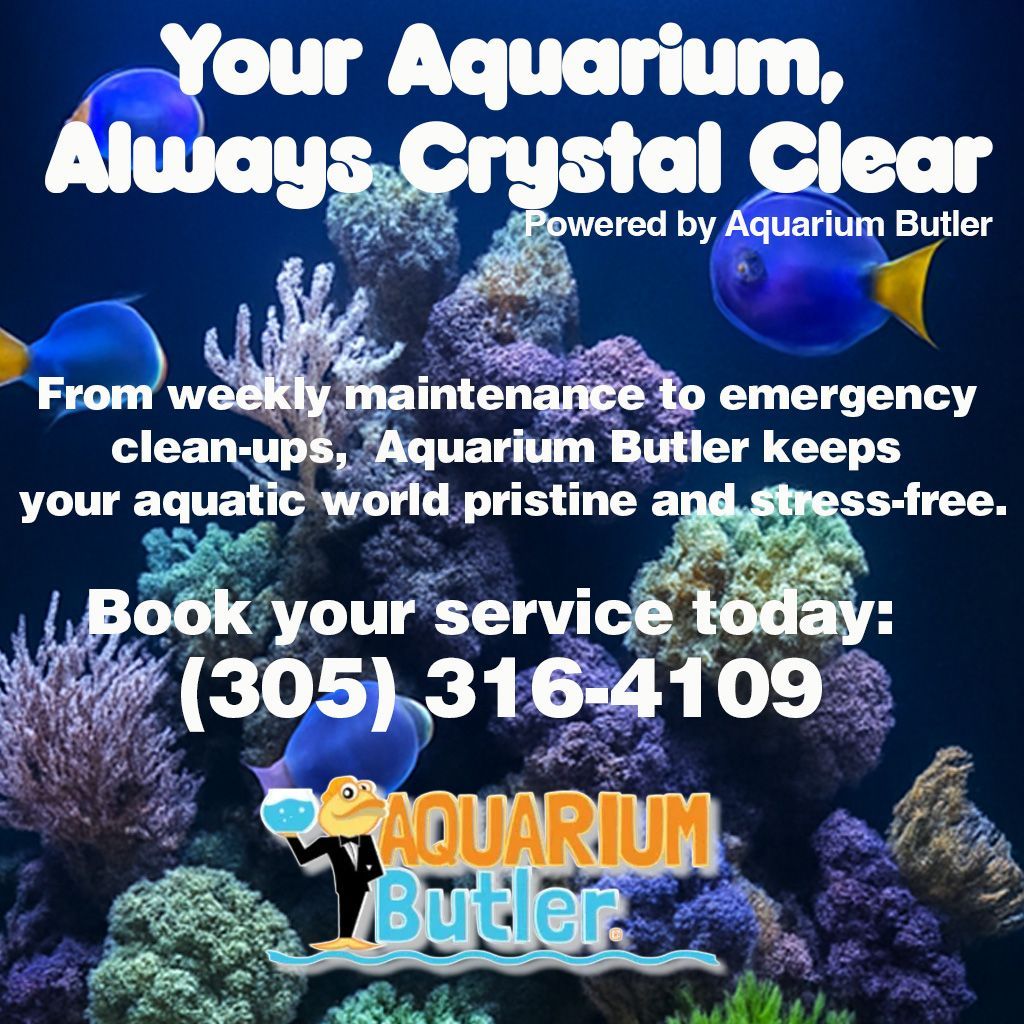 Anuncio de Aquarium Butler, un servicio de limpieza y mantenimiento de acuarios. Presenta peces y corales con información de contacto.