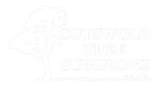 Cotswold Tree Surgeons