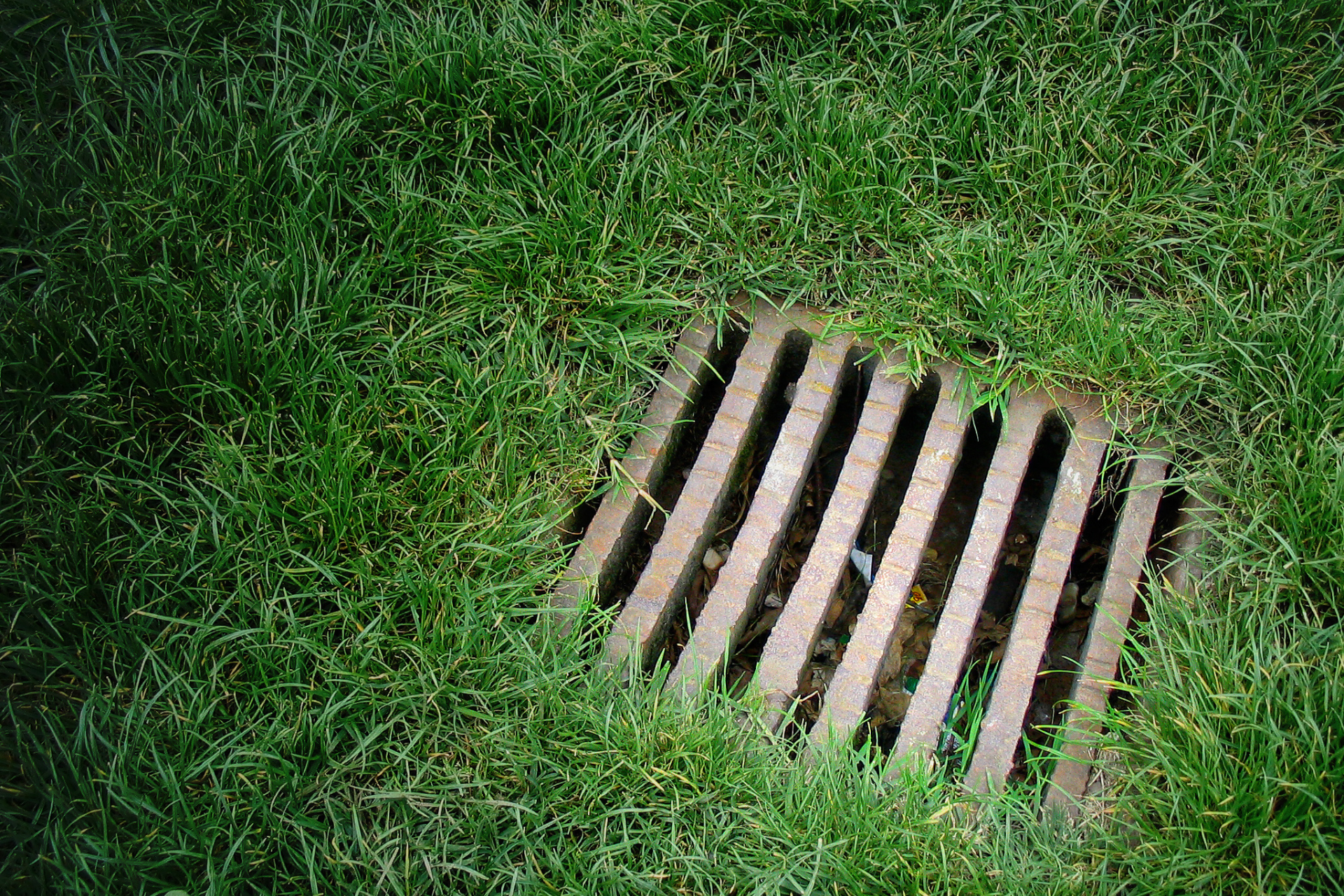 A drain cover is sitting in the middle of a lush green field.