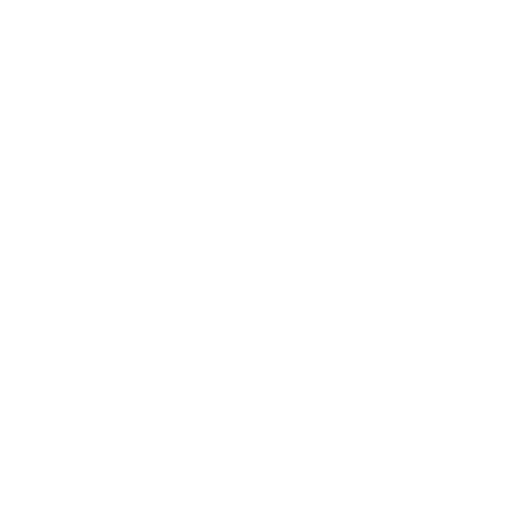 About Steven Resnick