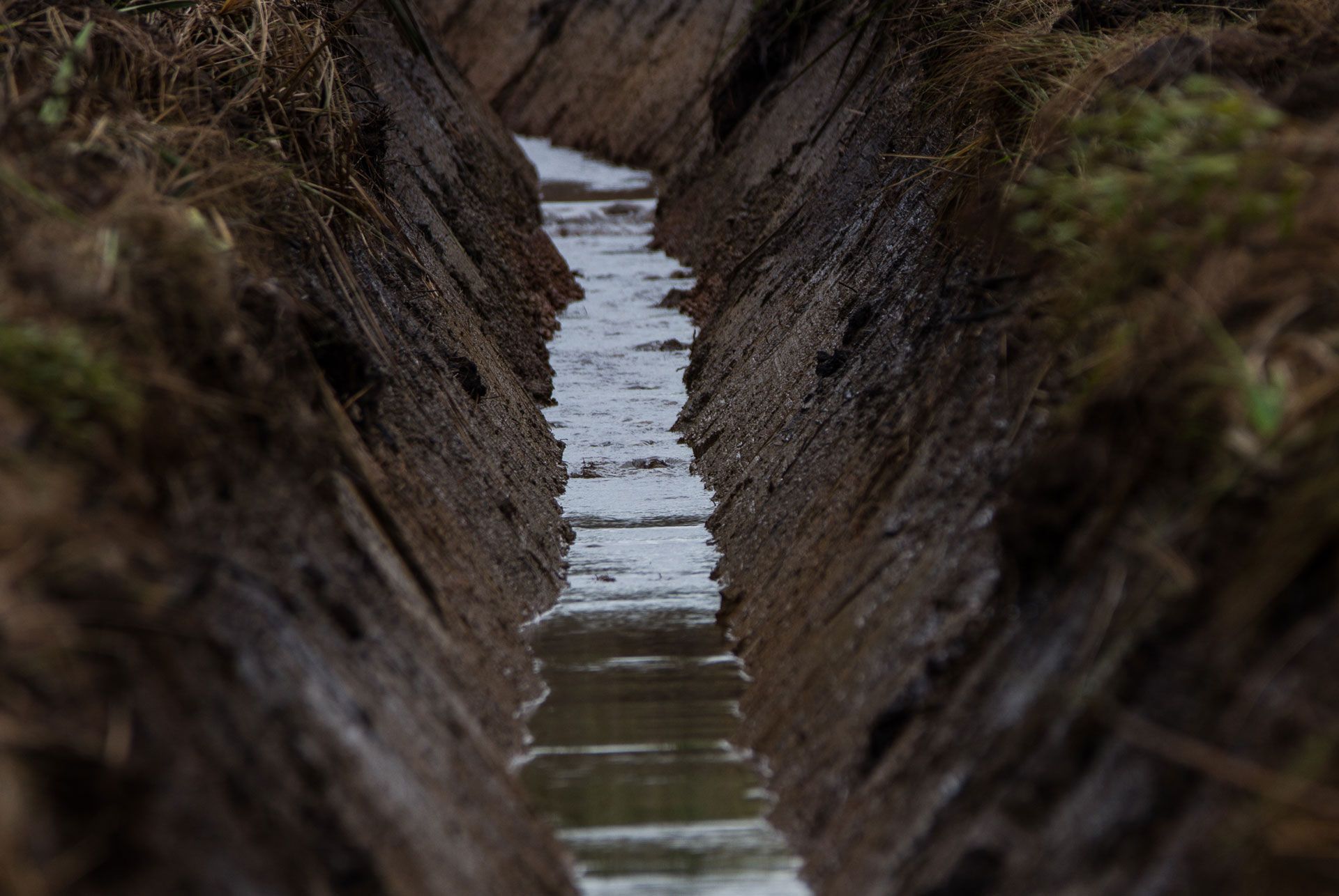 A narrow trench filled with water; earthen walls and dark, wet soil surround it.