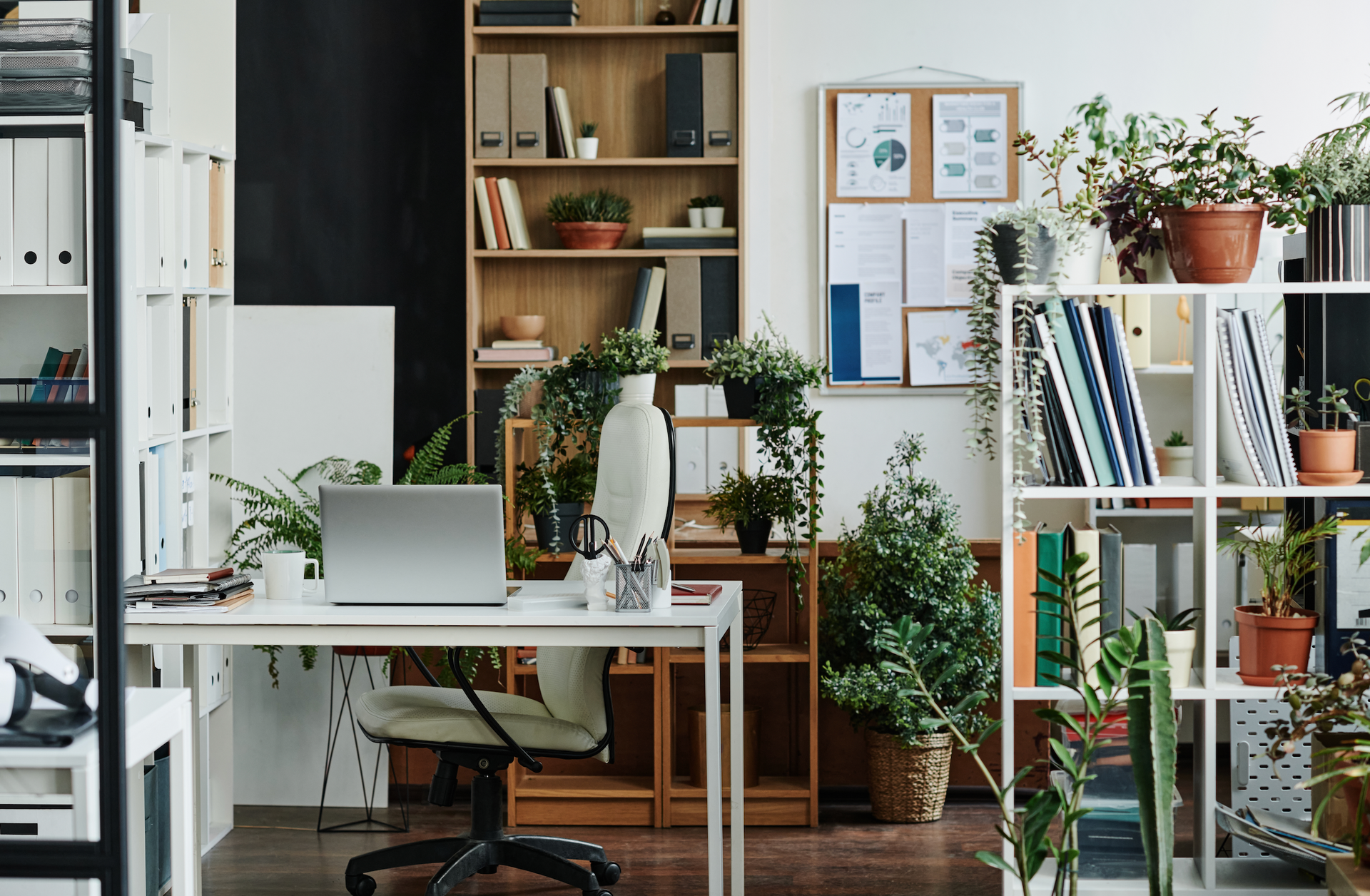 Home office with desk, shelving, and plants, creating a bright and organized space.
