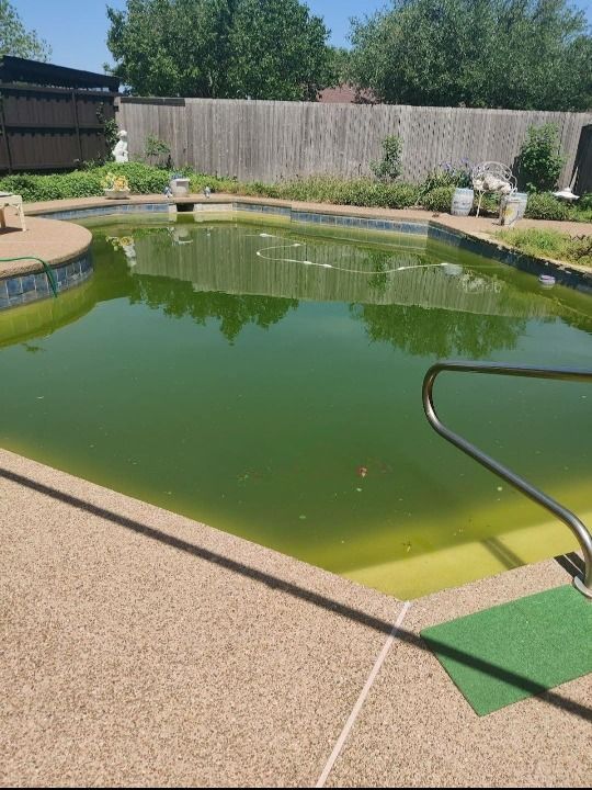 A picture of a swimming pool before being cleaned.