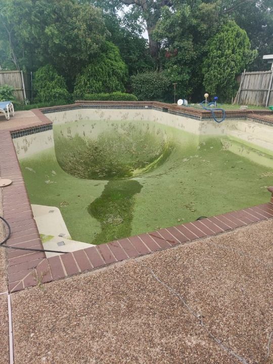 A before picture of a swimming pool covered in algae.