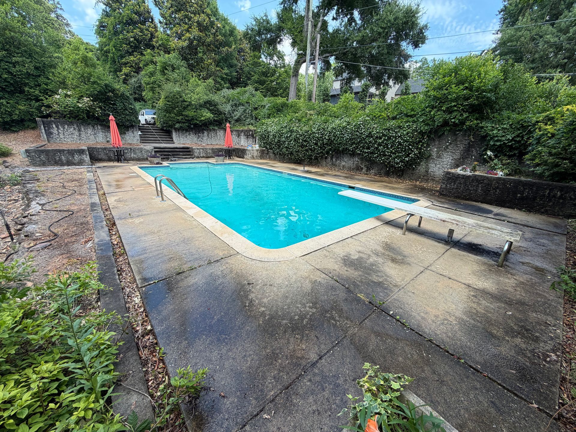 Outdoor swimming pool with blue water, stone deck, and red flags surrounded by dense greenery.