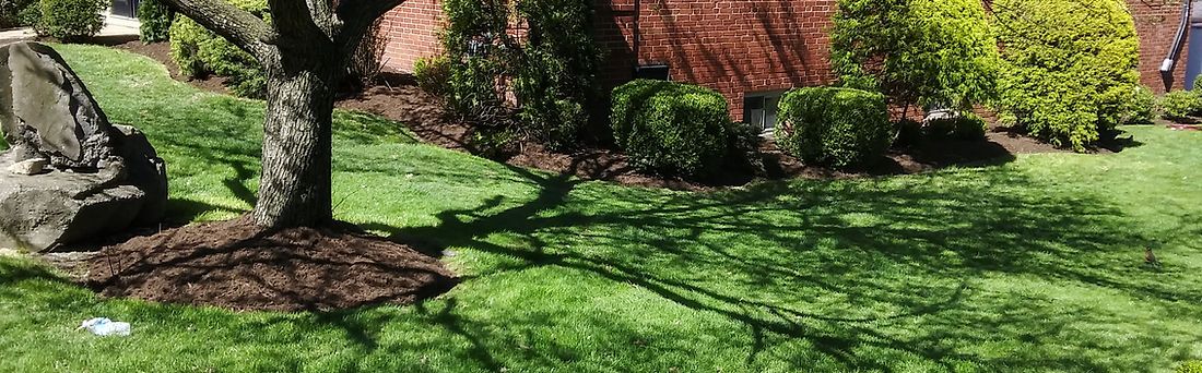 A large rock is sitting in the middle of a lush green lawn next to a tree.