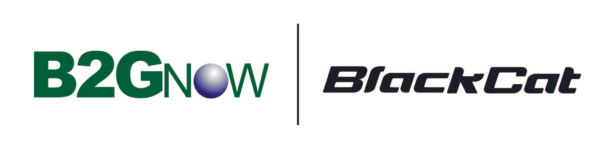 B2GNOW | BlackCat Logo