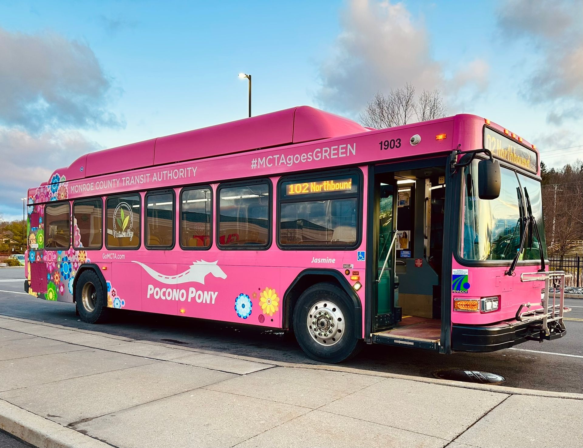 Monroe County Transit Authority Pink Bus