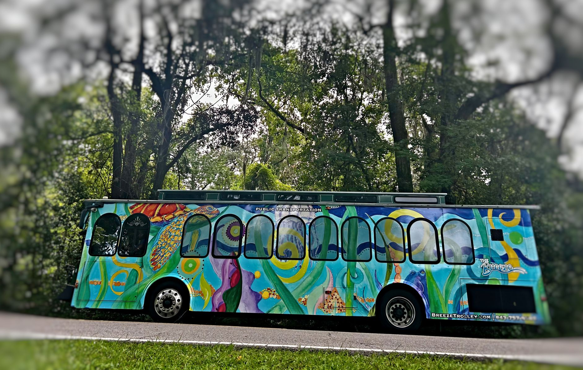 Palmetto Breeze LRTA Bus with Trees