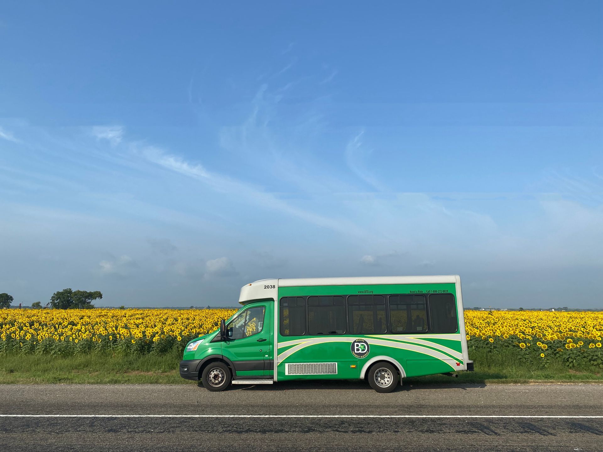 Brazos Transit District bus along road with wildflowers